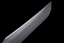 Onyx Stinger Tactical Sword (Limited)