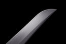 Onyx Stinger Tactical Sword (Limited)