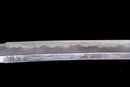Antique Japanese Sword Katana Kiyotsune - NTHK Kanteisho