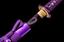 Shiryū no Yaiba Katana - 紫龍の刃 (Limited)
