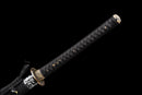 Kurohyou Odachi Sword 黒豹
