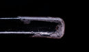 Antique Japanese Katana Sword with Tombo Dragonfly Menuki & Sansui Landscape Tsuba — Tamahagane