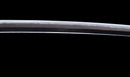 Antique Japanese Katana Sword with Tombo Dragonfly Menuki & Sansui Landscape Tsuba — Tamahagane