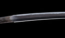 Antique Japanese Katana Sword with Tombo Dragonfly Menuki & Sansui Landscape Tsuba — Tamahagane