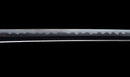 Antique Japanese Katana Sword, Waterfowl Tsuba signed Awataguchi — Tamahagane