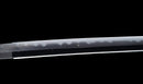 Antique Japanese Katana Sword, Waterfowl Tsuba signed Awataguchi — Tamahagane