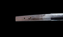 Antique Japanese Katana Sword, Waterfowl Tsuba signed Awataguchi — Tamahagane