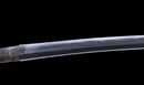 Antique Japanese Katana Sword by Kaifu with Double Hozon and Myōchin Gunbai Tsuba — Tamahagane