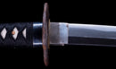 Antique Japanese Katana with Black Lacquer Koshirae and Feather-Motif Iron Tsuba signed Chikushi Tadamasa - Hozon