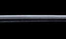Antique Japanese Katana Sword with Karakusa Tsuba, signed Chōshū Fujiwara Kiyoshige — NBTHK Hozon