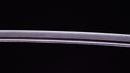 Antique Japanese Sword Katana from Taira Takada (Hozon)