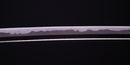 Antique Japanese Katana Sword by Sue Bizen (Hozon)