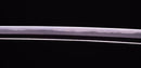 Antique Japanese Katana Sword by Sue Bizen (Hozon)
