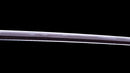 Antique Japanese Katana Sword signed Hitachi no Kami Muneshige, NBTHK Hozon
