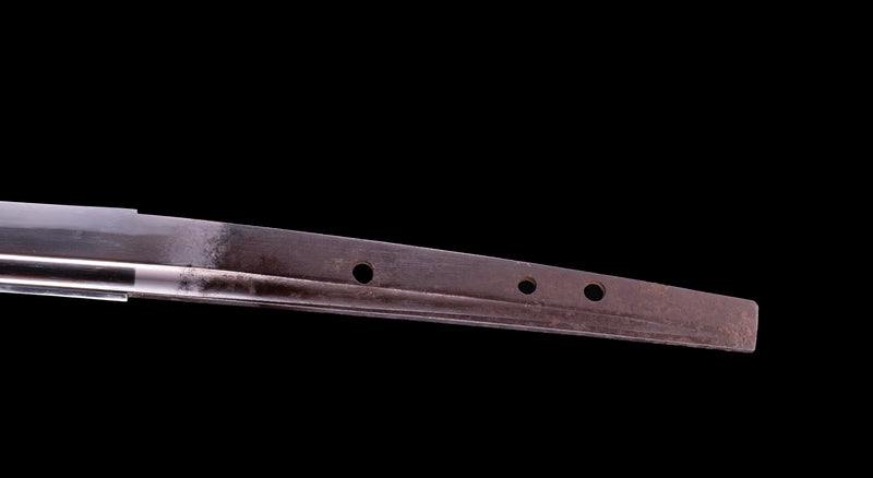 Antique Japanese Daisho - Takada School - Double HOZON