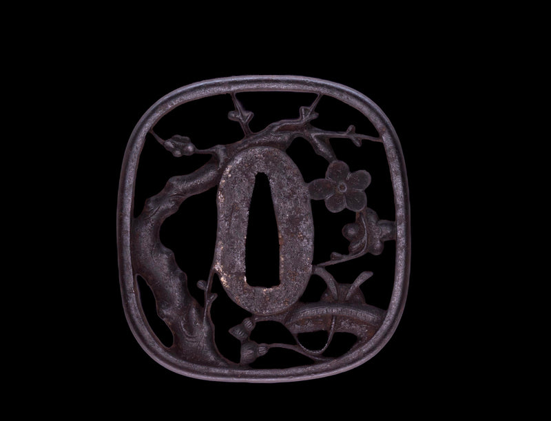 Antique Japanese Katana Sword signed Takada Jū Fujiwara Muneyuki - HOZON