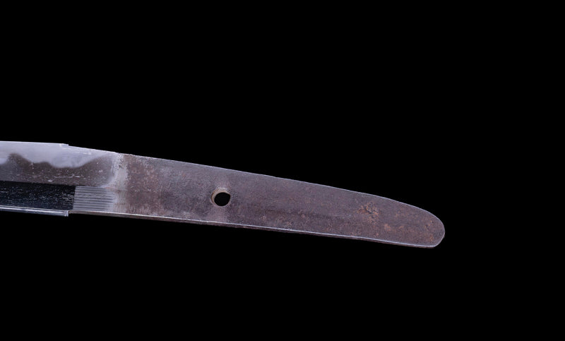 Antique Japanese Daisho - Takada School - Double HOZON