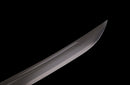 Ashen Wraith Tactical Sword (Limited)