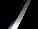 Akaryū Katana 赤龍